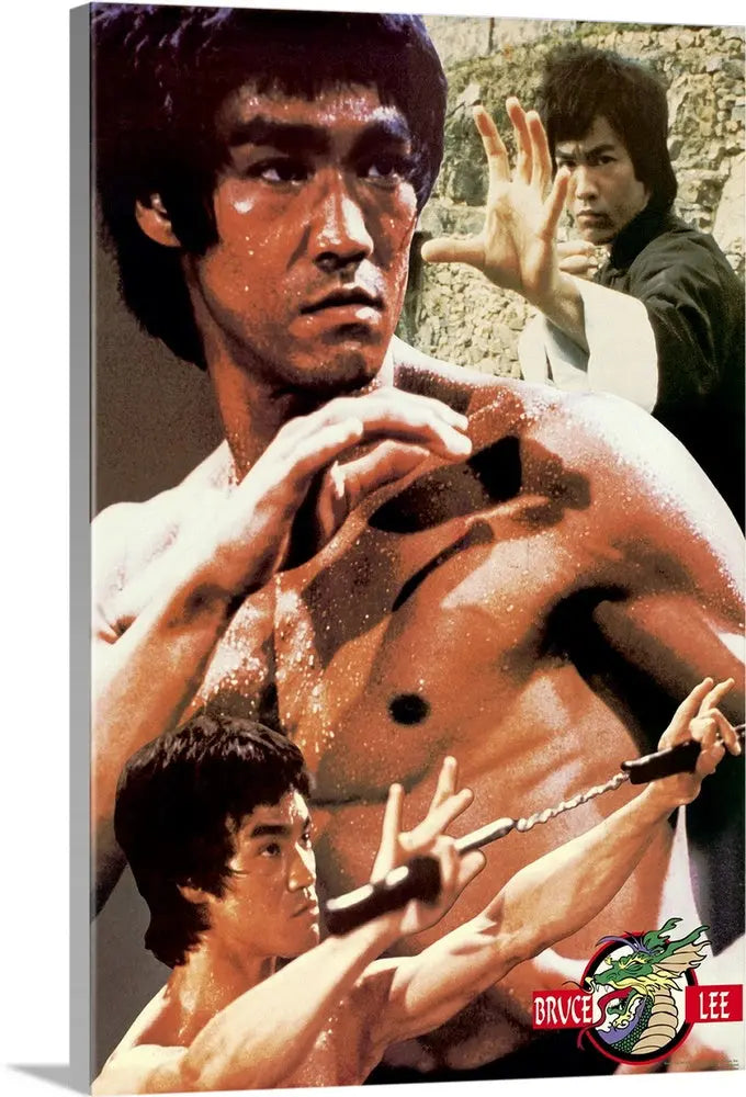 Bruce Lee Canvas Art Films Vibez